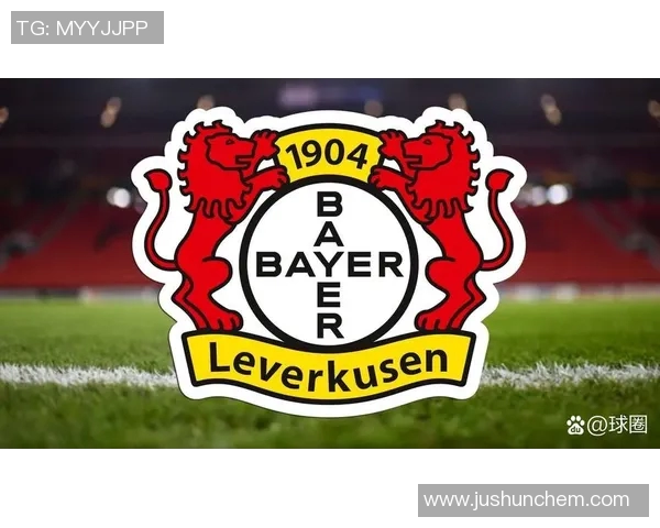 勒沃库森足球俱乐部的历史成就与未来发展潜力探讨