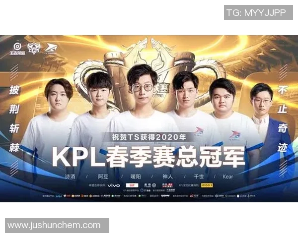 王者荣耀专题深度解析WE战队的比赛经验与策略分享