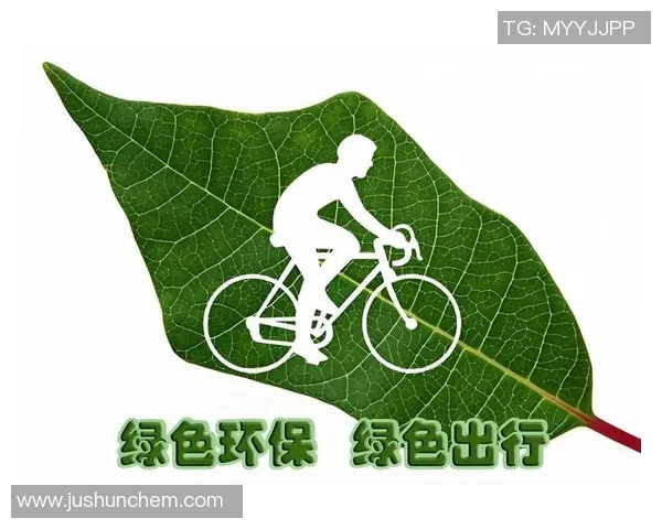 绿色出行新选择：探索自行车在城市交通中的多重价值与发展潜力